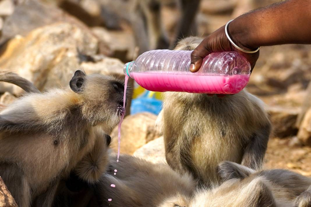 Termometreler 50 dereceyi gösterdi. Tarihin en yüksek sıcaklık rekoru - Resim: 12